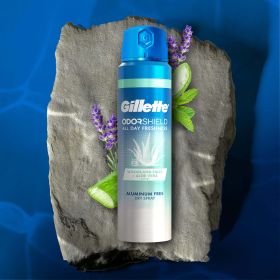 Gillette Aluminum Free ODOR SHIELD Men's Spray Woodland Falls + Aloe Vera, 4.3 oz